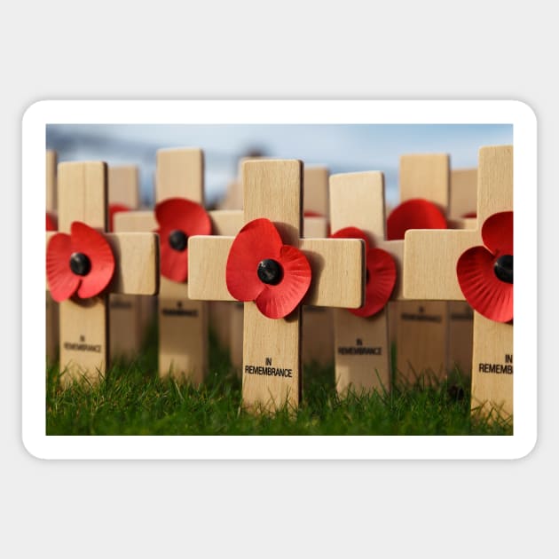 Remembrance Day - Memorial Day - Lest We Forget - Poppy Sticker by mikepod